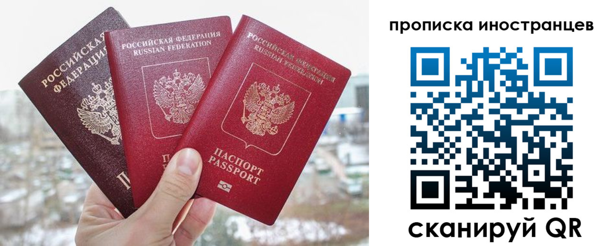 временная регистрация поиск в Павловске